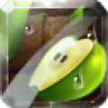 Fruit Slice icon