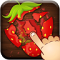 FruitSmasher icon