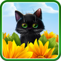 Funny Kitten Live Wallpaper icon