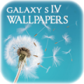 Galaxy S4 Wallpaper icon