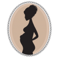 Get Pregnant icon