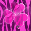 GO Launcher Theme Pink Zebra icon