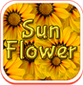 GO SMS Sunflower Theme icon