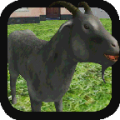 Goat Smash icon