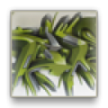 Graffiti Wallpapers icon