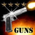 Guns Blast – Run and Shoot icon