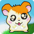 Hamster and Carrot 1.0.6