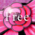 Hand Mirror Trial icon