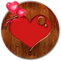 Heart Photo Frame Effects icon