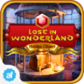 Hidden Object Wonderland Free icon