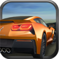 Highway Riot Car Racing 3D icon