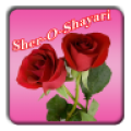 Hindi Sher O Shayari icon