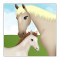 Horse Pregnancy 2 icon