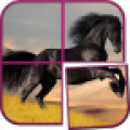 Horse Puzzle Games for Girls icon