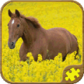 Horse Puzzles Free icon