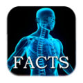 Human Body Facts 2.5