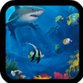 hungry Shark icon