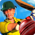 ICC Pro Cricket 2015 icon