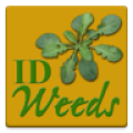 ID Weeds icon