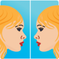 Idol Selfie icon