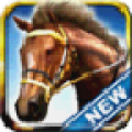 iHorse Betting icon