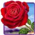 Rose 2.3.2