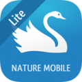 iKnow Birds 2 LITE icon