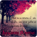 imagenes bonitas icon