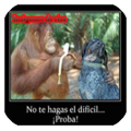 Imagenes de risa icon