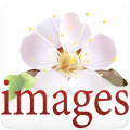 Images variety icon