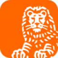 ING Vysya Mobile icon