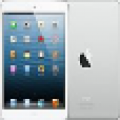 iPad Mini REVIEW icon