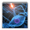 Iq scanner icon