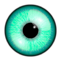 Iris icon