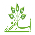 Islam Ware icon