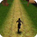 Jungle Run 3D 1.2