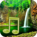 JungleSound 5.0.1-40052