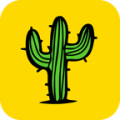 Kaktus icon