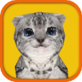 Cat Simulator icon