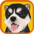 Dog Simulator 1.2.3