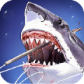 Kill Shark Hunter icon