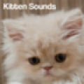 Kitten Sounds 2.0