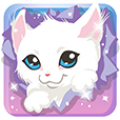 Kitty Play icon