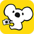 koala chat icon