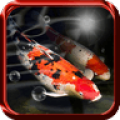 Koi Fish Live Wallpaper icon