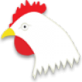 KOKO Euro Spoko icon
