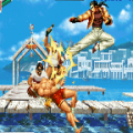 Kungfu Master icon