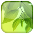 Leaf Live Wallpaper icon