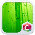 Leaf Theme icon
