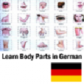Learn Body Parts in German icon